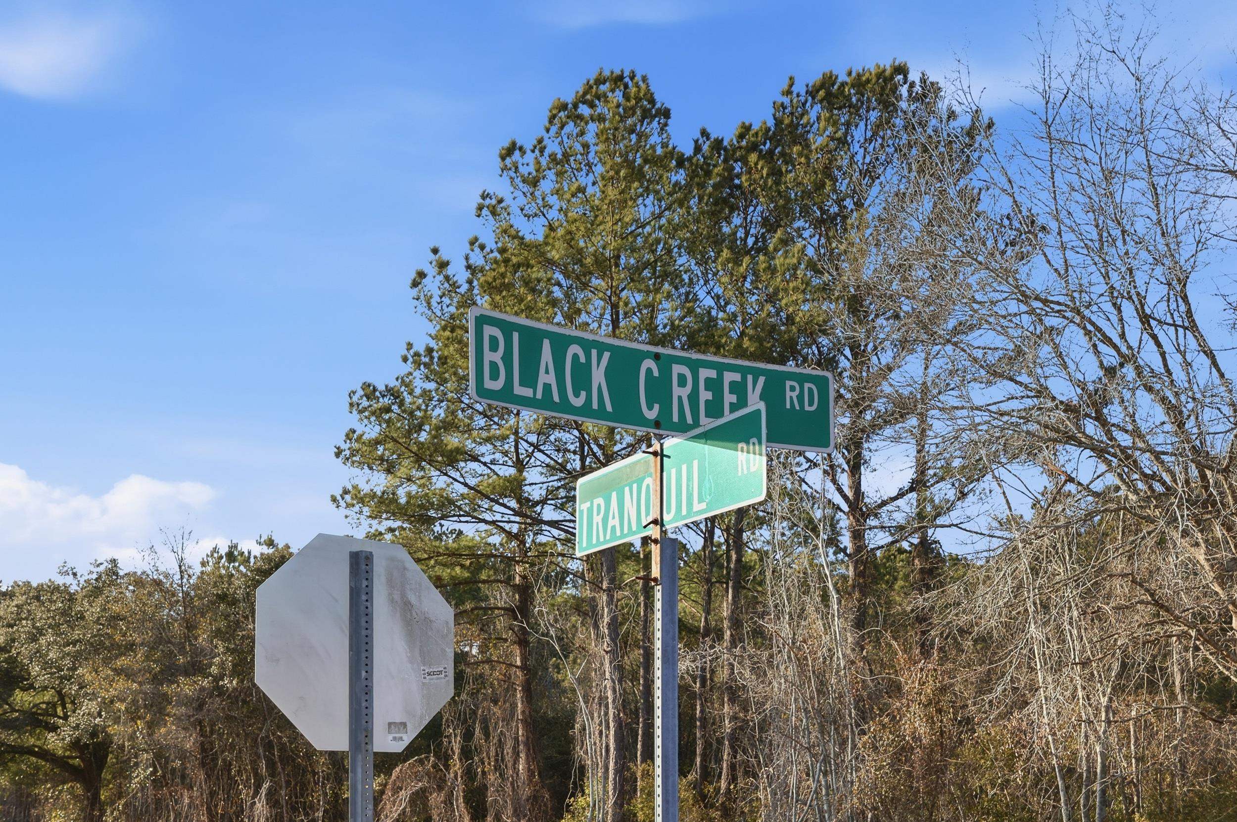 Tbd Tbd Black Creek Road Nichols, SC 29581 - Photo 2 of 19