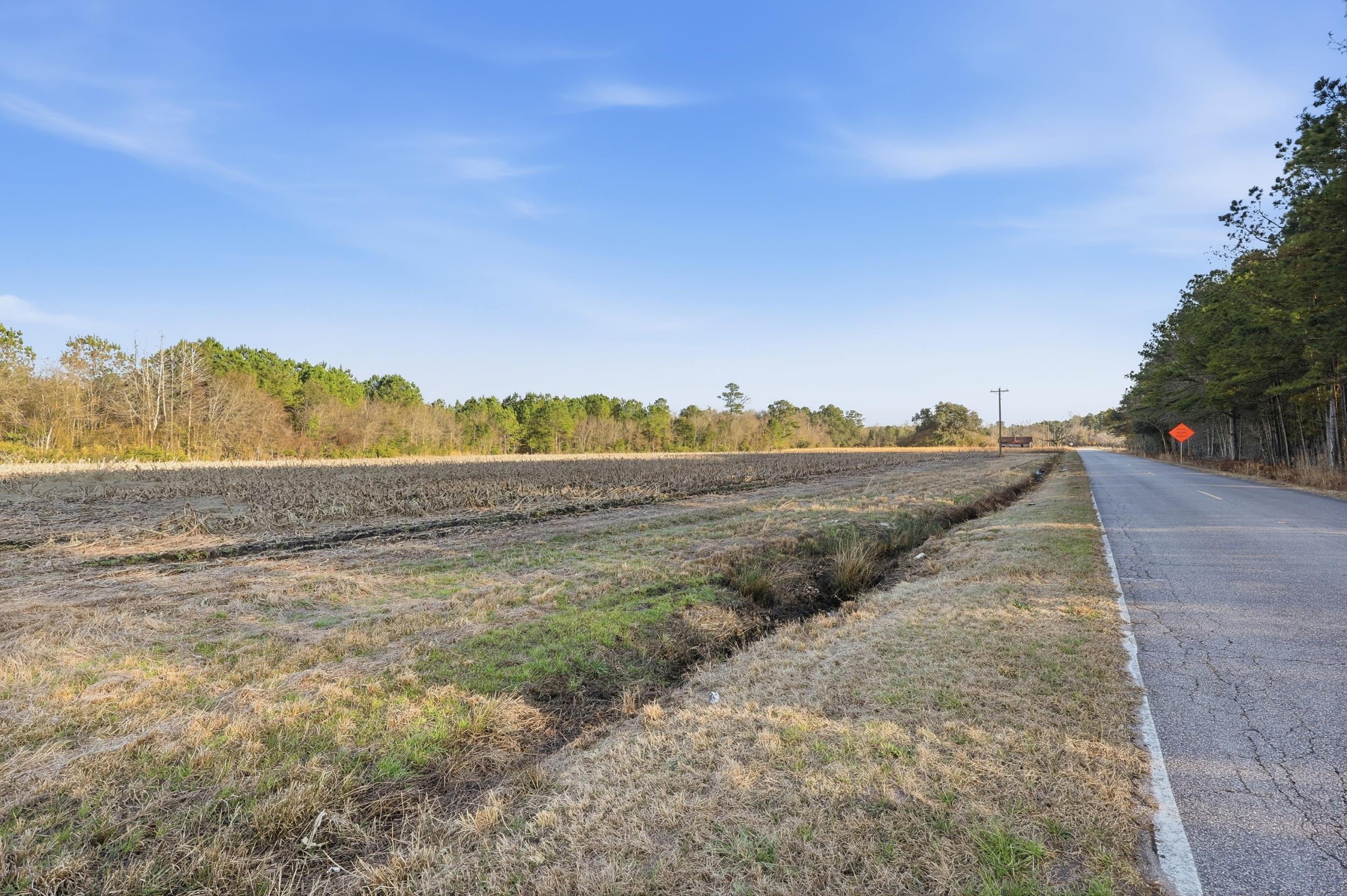 Tbd Tbd Black Creek Road Nichols, SC 29581 - Photo 3 of 19