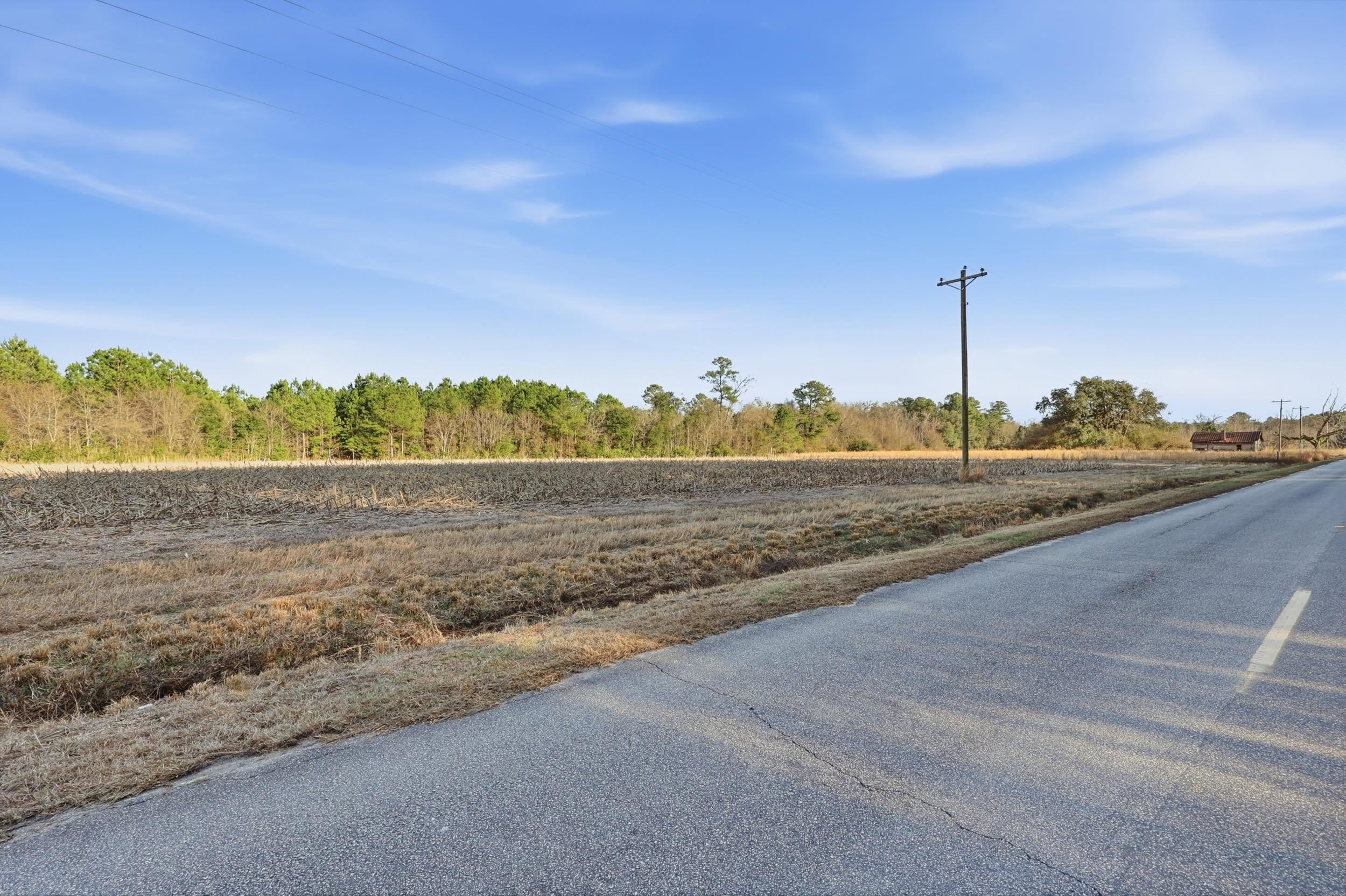 Tbd Tbd Black Creek Road Nichols, SC 29581 - Photo 4 of 19
