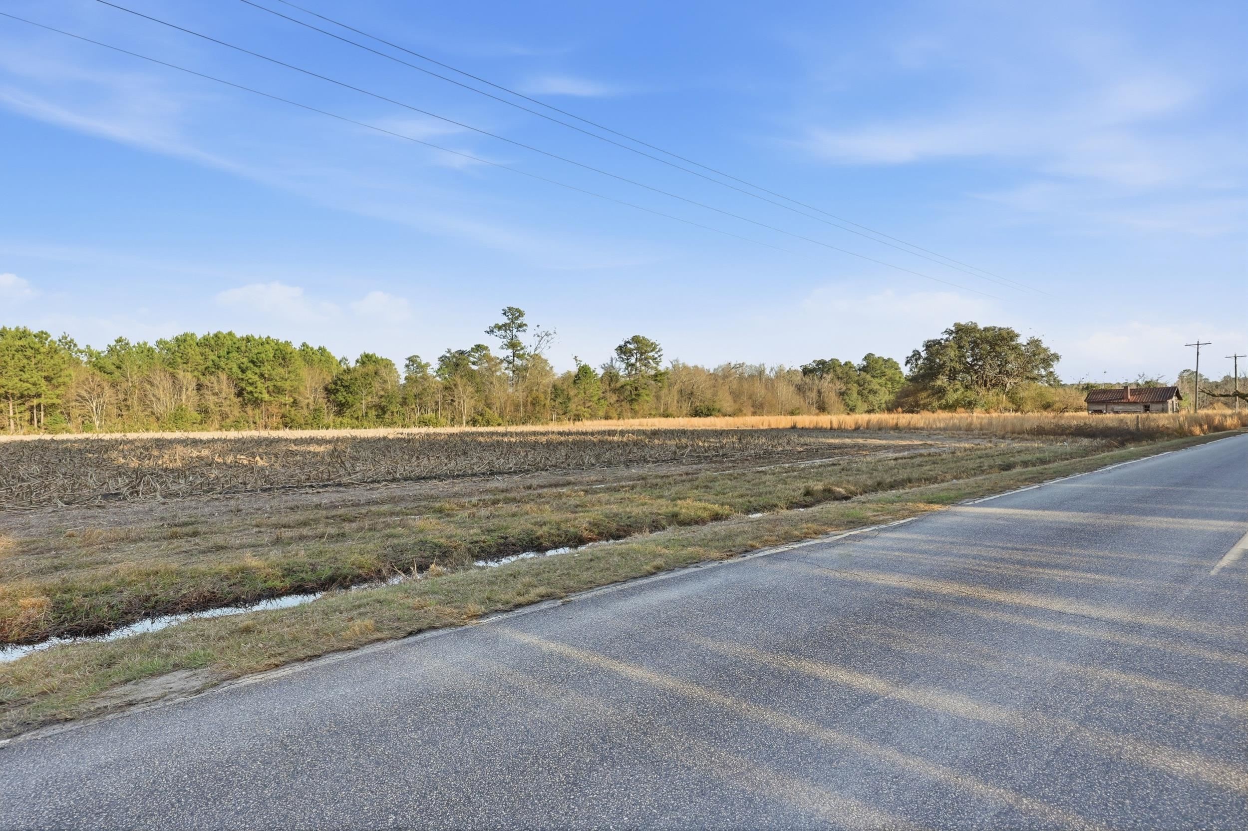Tbd Tbd Black Creek Road Nichols, SC 29581 - Photo 5 of 19