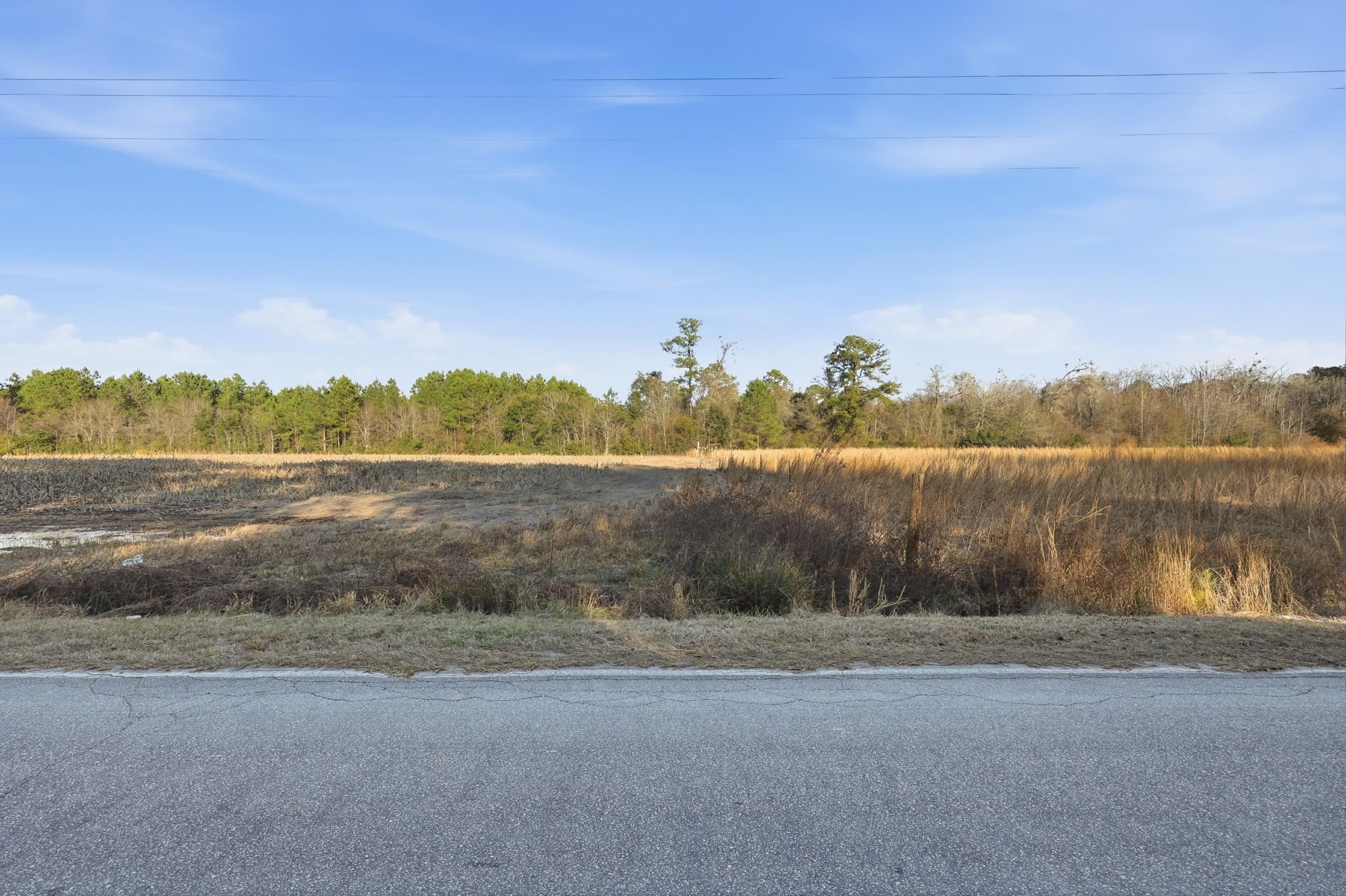Tbd Tbd Black Creek Road Nichols, SC 29581 - Photo 6 of 19