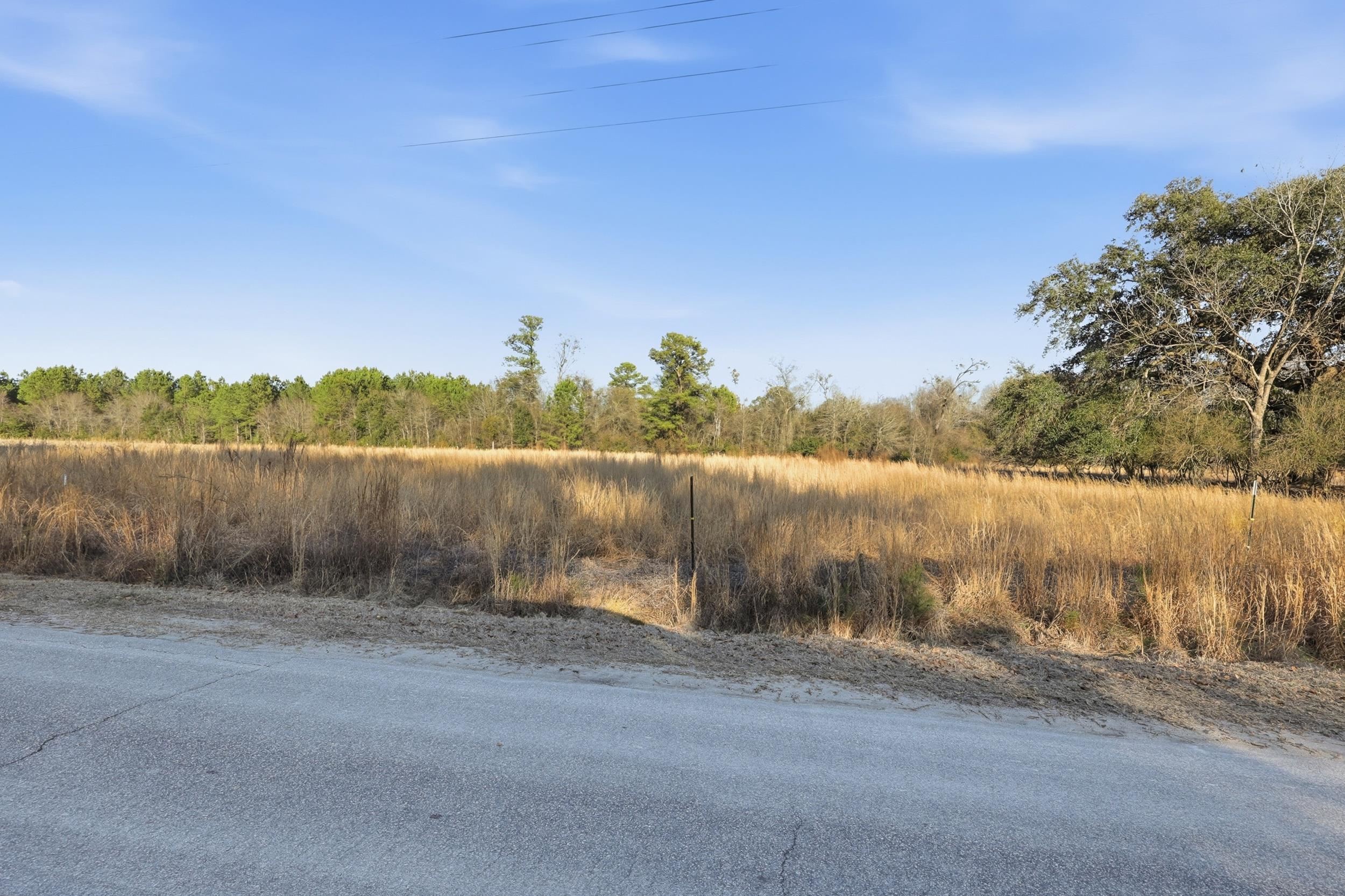 Tbd Tbd Black Creek Road Nichols, SC 29581 - Photo 8 of 19