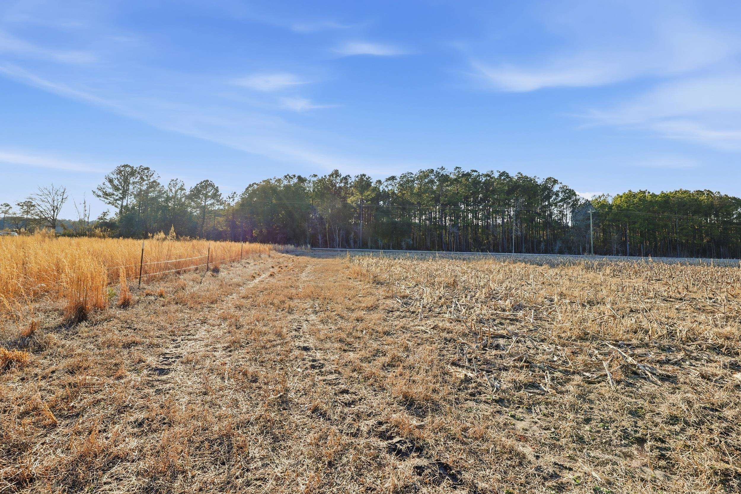 Tbd Tbd Black Creek Road Nichols, SC 29581 - Photo 10 of 19
