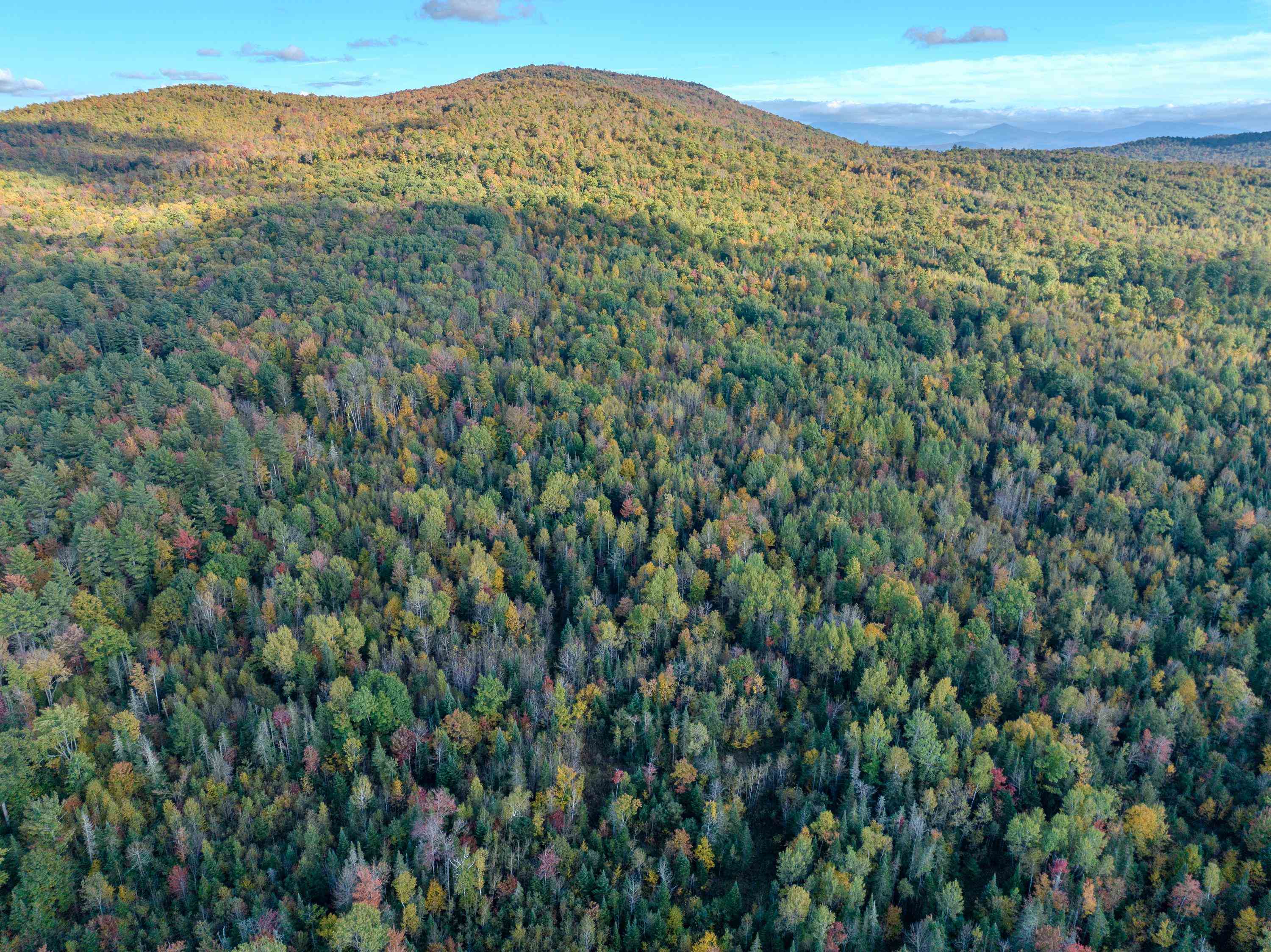 0 North Littleton Road, Unit 942 Littleton, NH 03561 - Photo 12 of 22