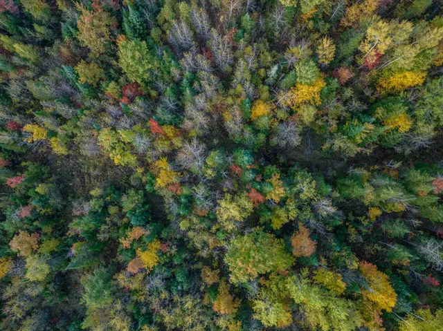 $399,000 | 0 North Littleton Road, Unit 942, Littleton, NH 03561