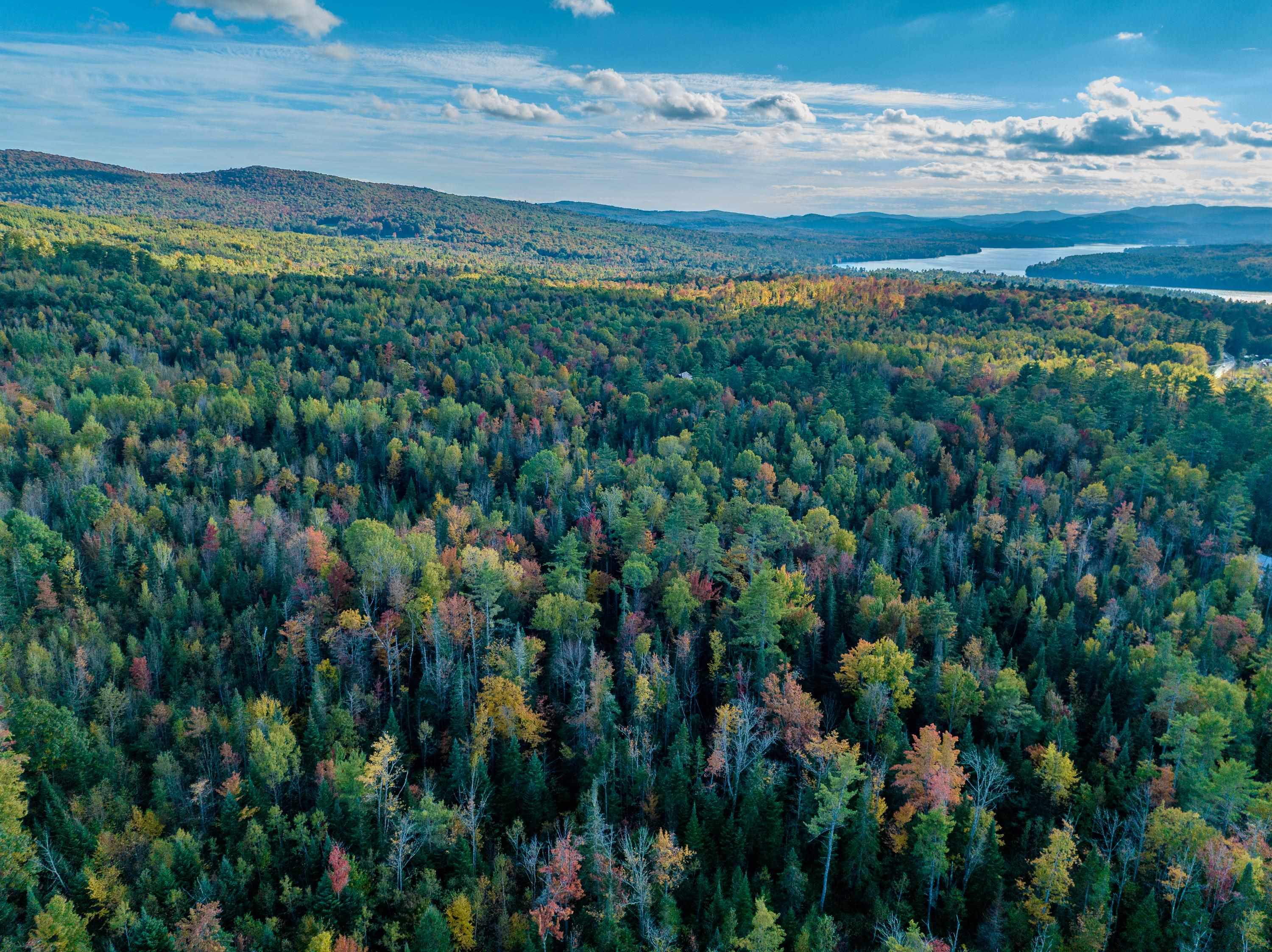 0 North Littleton Road, Unit 942 Littleton, NH 03561 - Photo 19 of 22