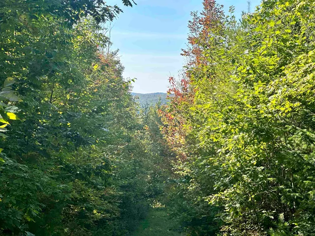 $399,000 | 0 North Littleton Road, Unit 942, Littleton, NH 03561