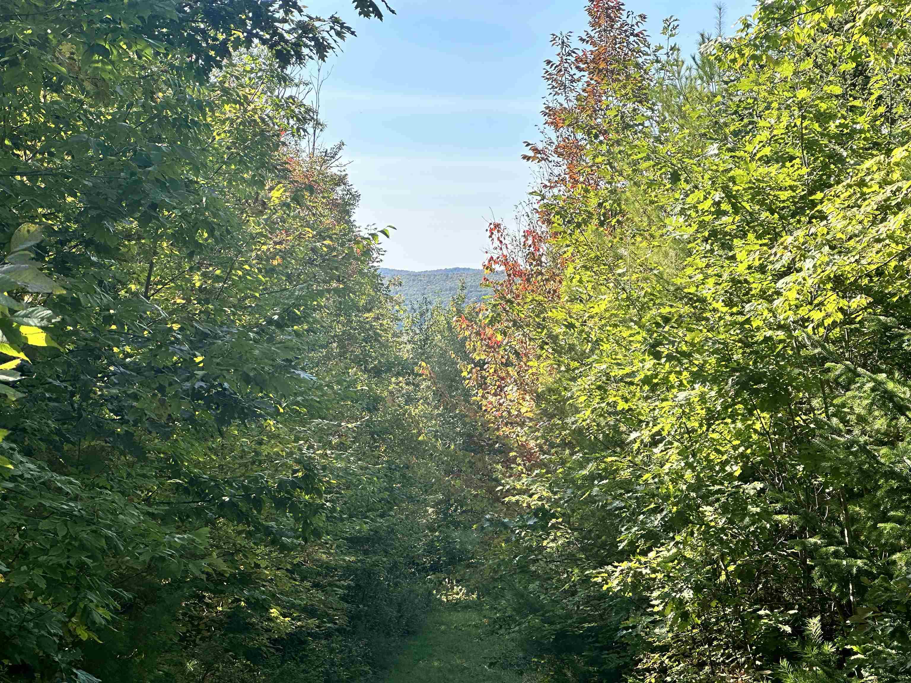 0 North Littleton Road, Unit 942 Littleton, NH 03561 - Photo 4 of 22