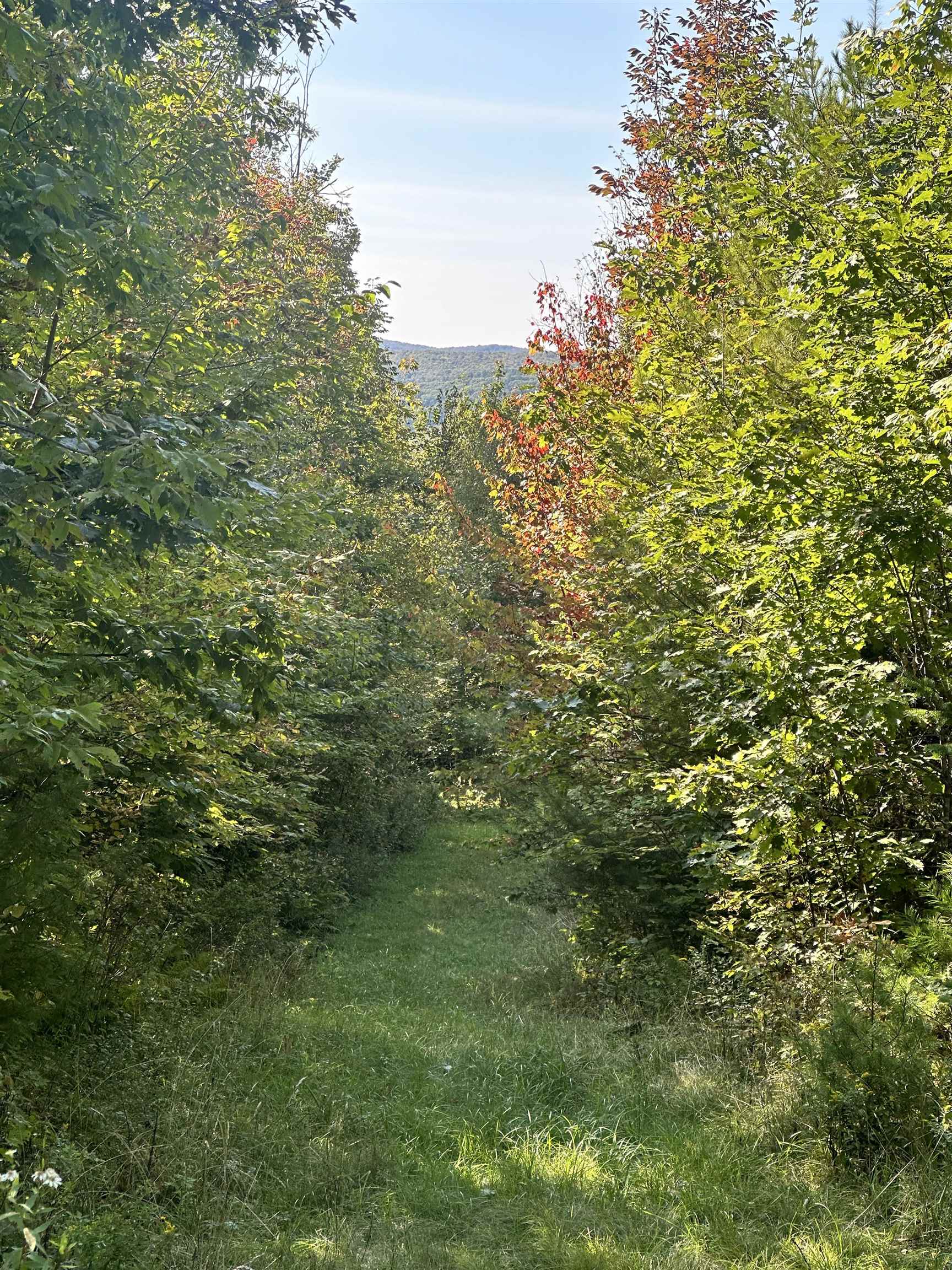 0 North Littleton Road, Unit 942 Littleton, NH 03561 - Photo 6 of 22
