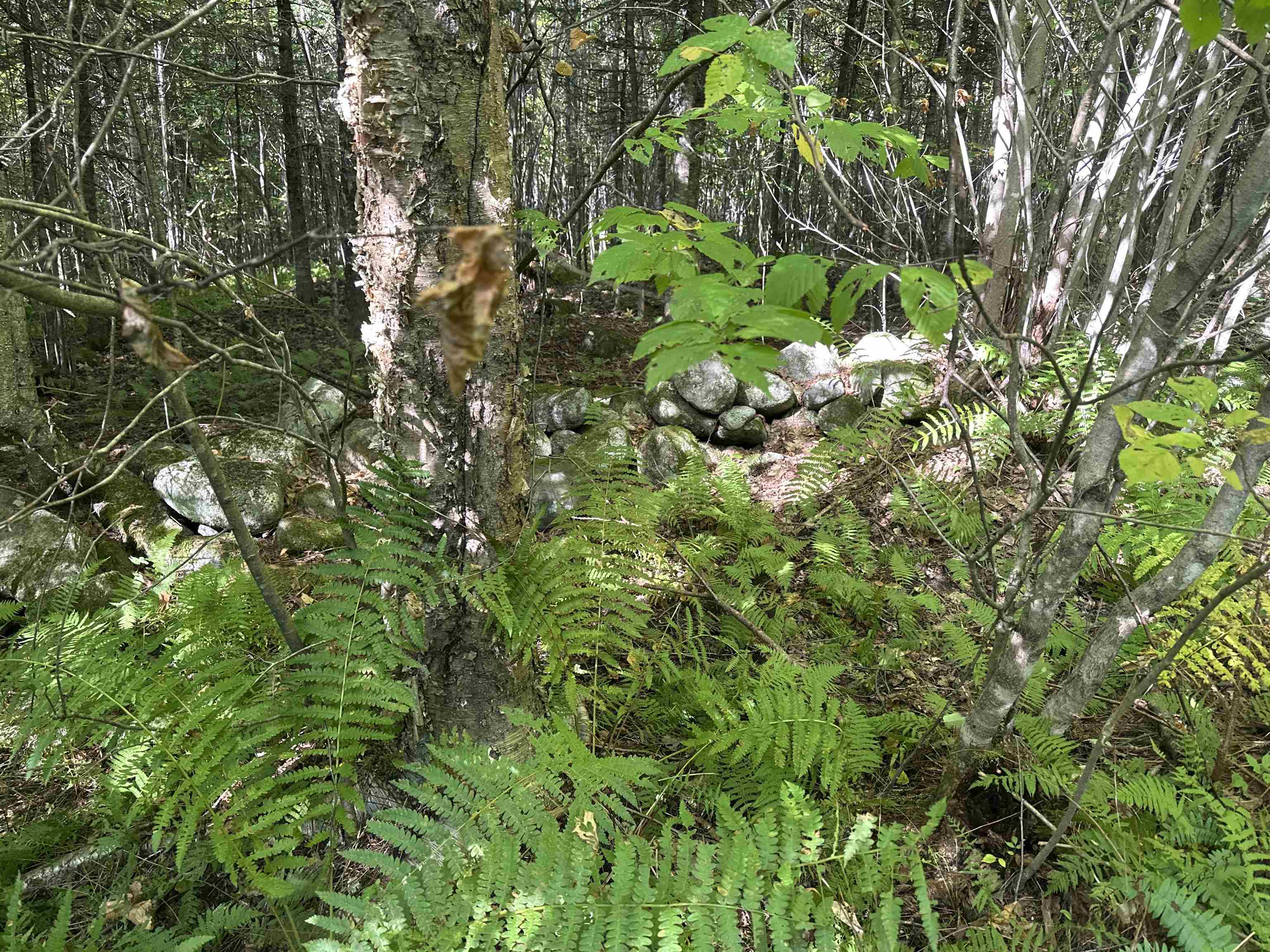 0 North Littleton Road, Unit 942 Littleton, NH 03561 - Photo 8 of 22