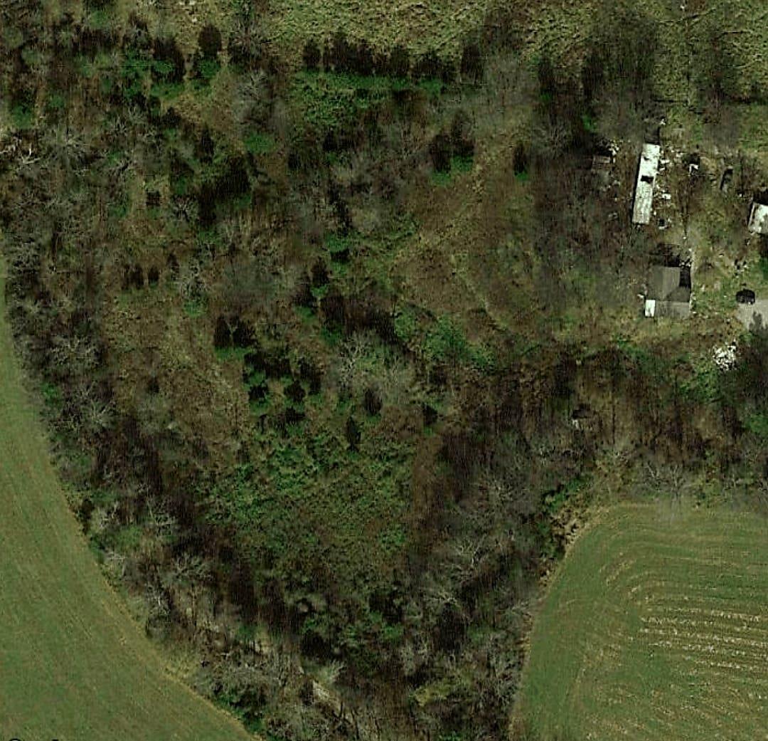 1230 Neal Road Watertown, TN 37184 - Photo 1 of 5 a view of a lake with a forest
