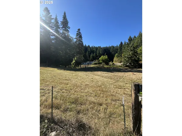 $169,000 | Wallace Creek Road, Carson, WA 98610