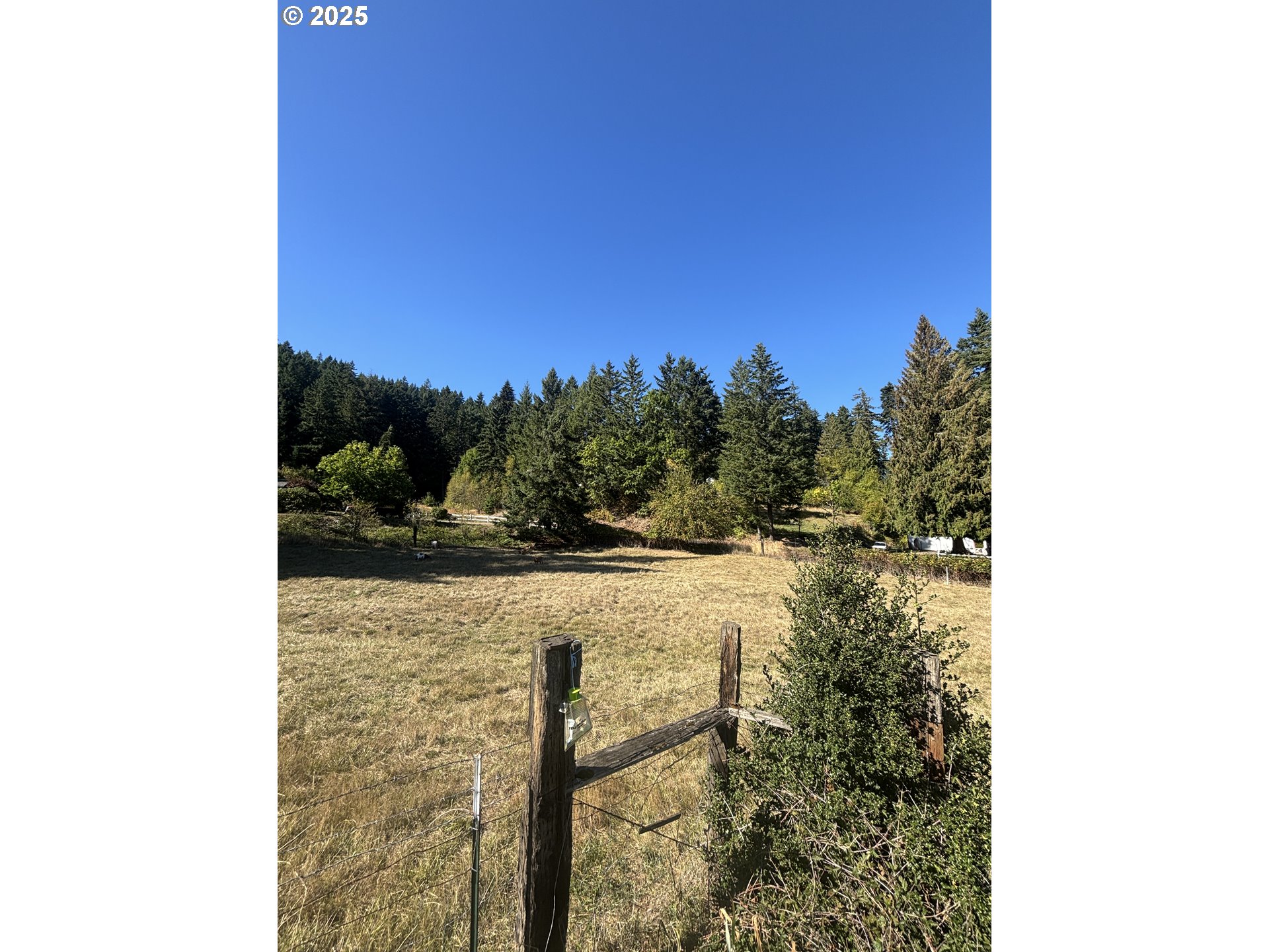 Wallace Creek Road Carson, WA 98610 - Photo 3 of 11 a view of a lake from a balcony
