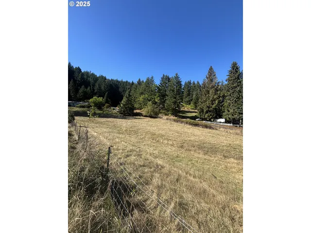 a view of outdoor space and trees