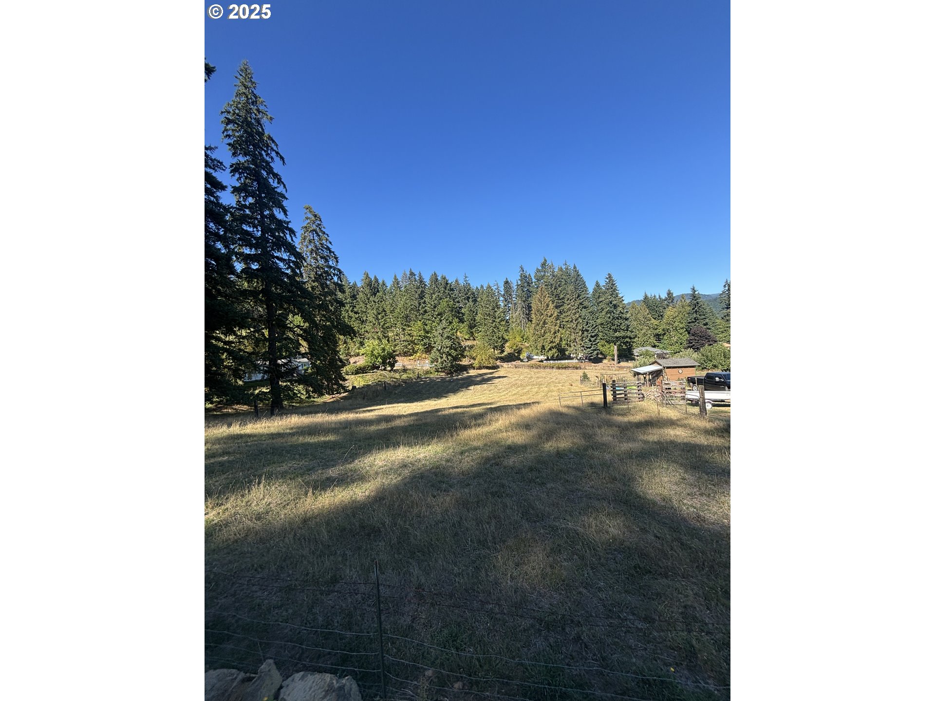 Wallace Creek Road Carson, WA 98610 - Photo 7 of 11 a view of a yard