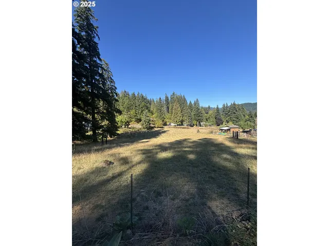 a view of a yard with a tree