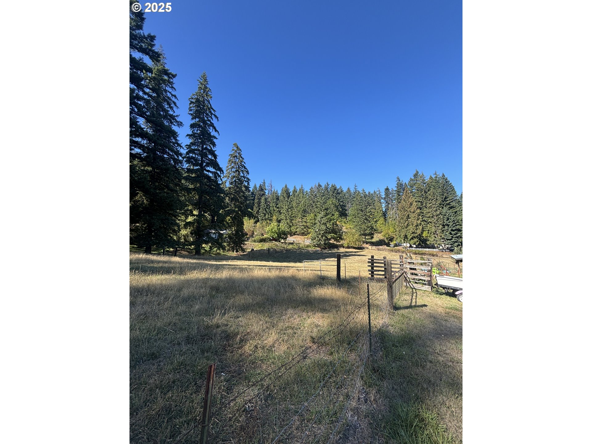 Wallace Creek Road Carson, WA 98610 - Photo 9 of 11