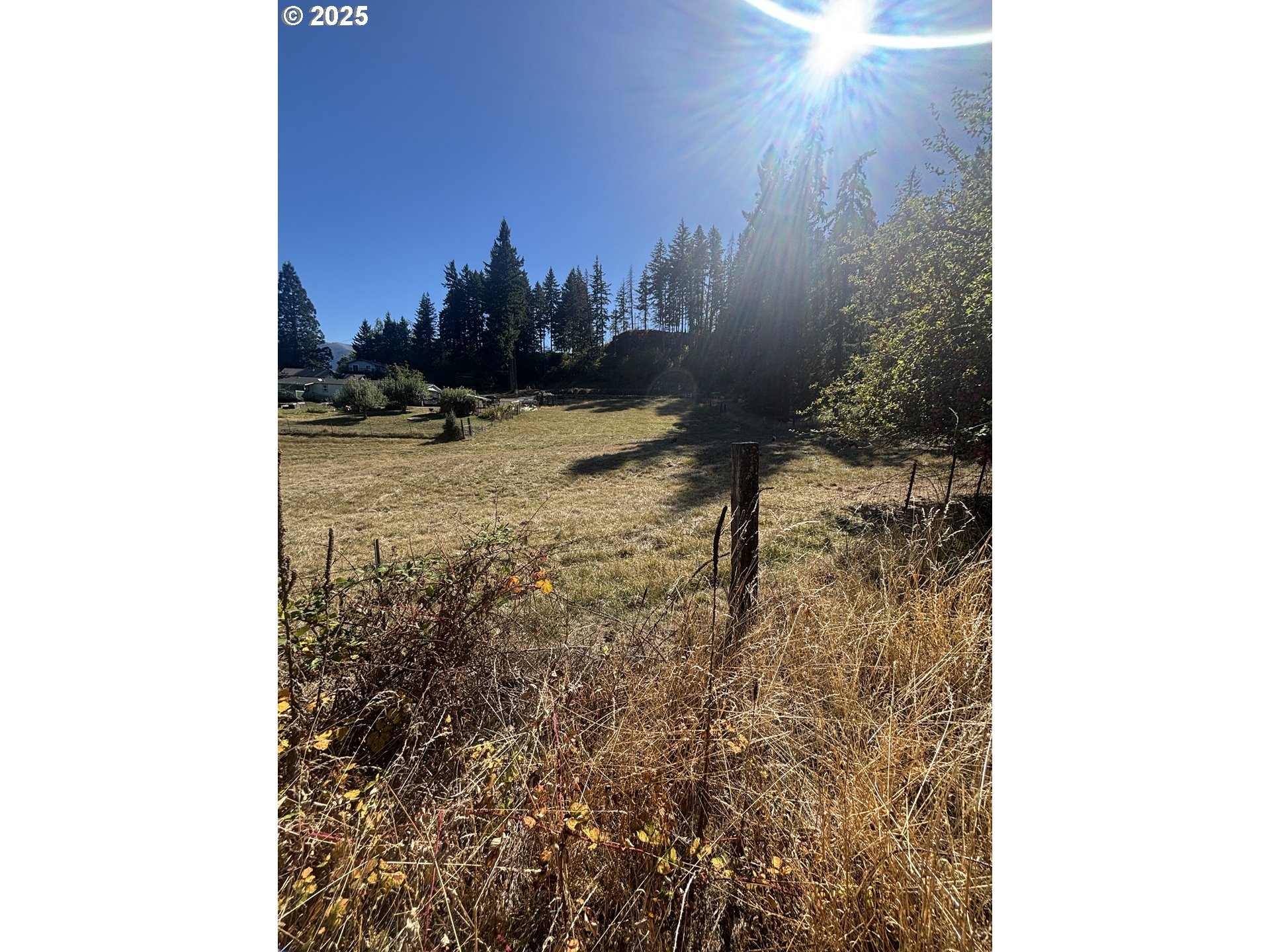 Wallace Creek Road Carson, WA 98610 - Photo 10 of 11 a view of a yard
