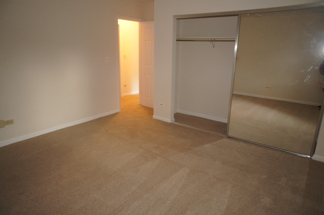 264 East Bailey Road, Unit E Naperville, IL 60565 - Photo 14 of 14