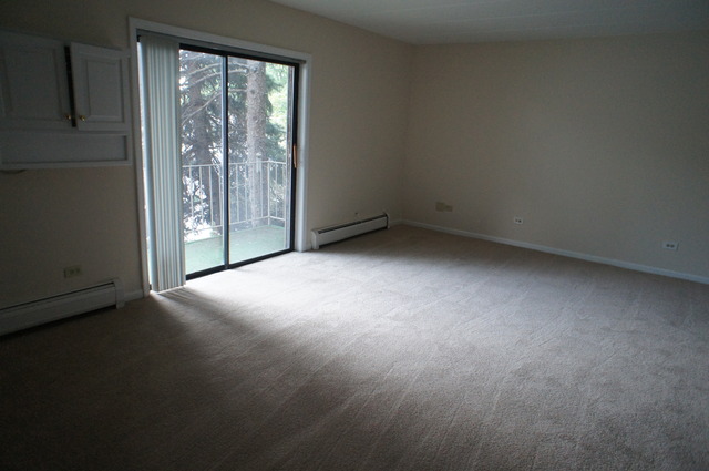 264 East Bailey Road, Unit E Naperville, IL 60565 - Photo 3 of 14