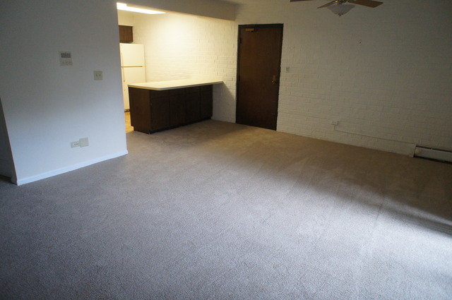 264 East Bailey Road, Unit E Naperville, IL 60565 - Photo 5 of 14