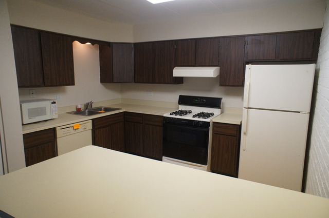 264 East Bailey Road, Unit E Naperville, IL 60565 - Photo 7 of 14