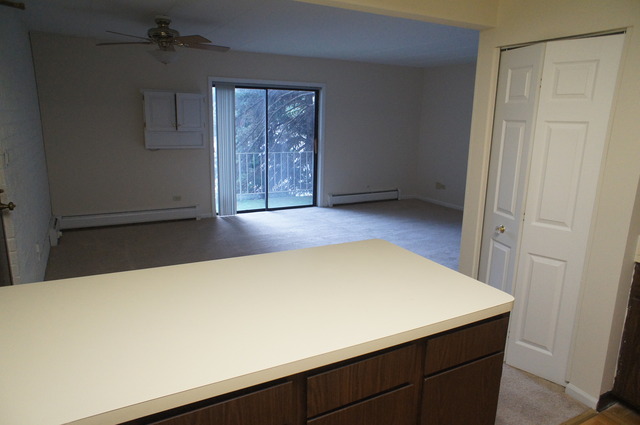 264 East Bailey Road, Unit E Naperville, IL 60565 - Photo 8 of 14