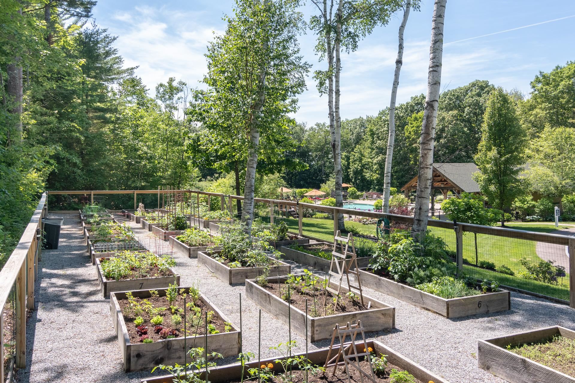 97 Soleil Mountain, Unit 82 Laconia, NH 03246 - Photo 25 of 43