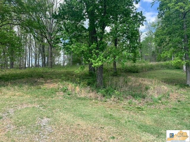 Spring Street Tompkinsville, KY 42167 - Photo 2 of 6 Gallery Image 2