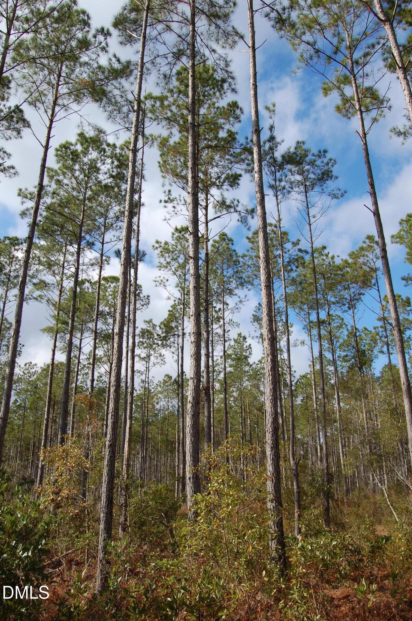 1 Kellyville Road Rocky Point, NC 28457 - Photo 11 of 21 a view of outdoor space