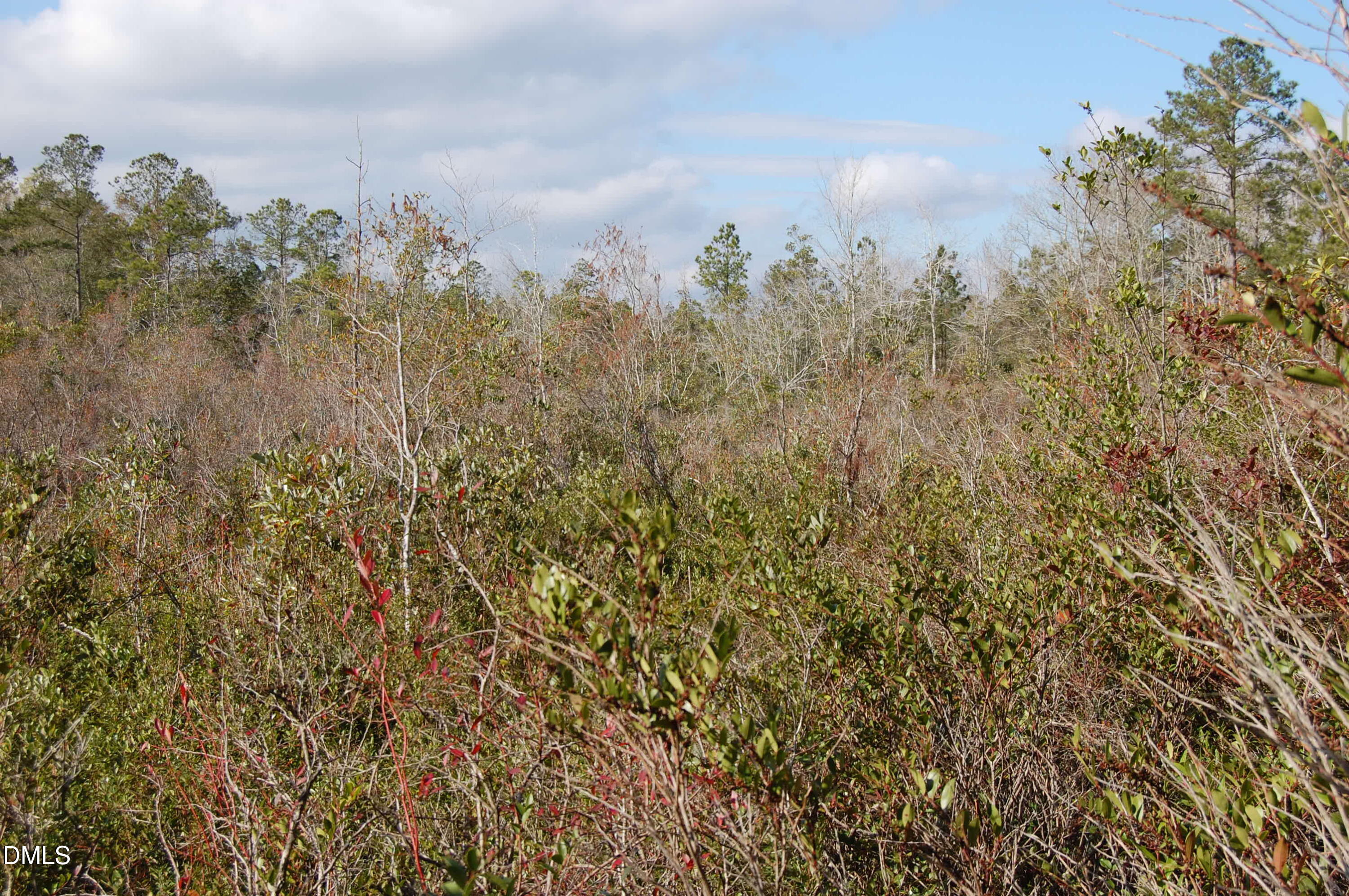 1 Kellyville Road Rocky Point, NC 28457 - Photo 12 of 21 a view of a lake from a yard