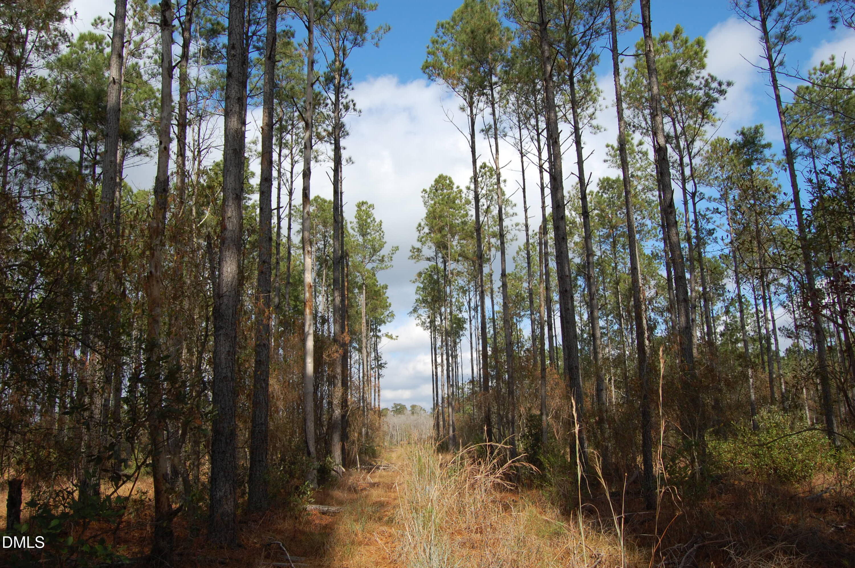 1 Kellyville Road Rocky Point, NC 28457 - Photo 14 of 21