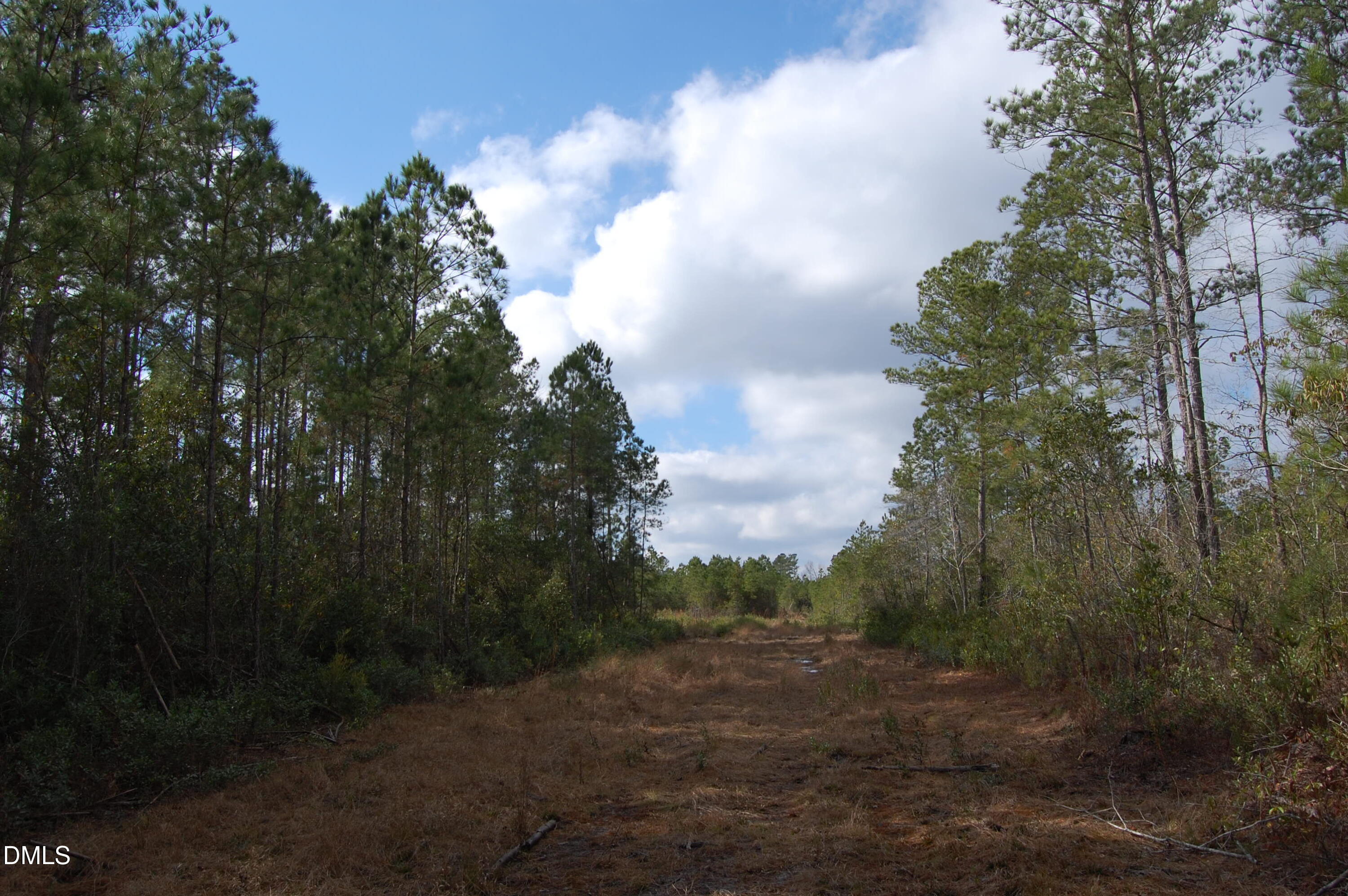 1 Kellyville Road Rocky Point, NC 28457 - Photo 16 of 21 a view of a yard with trees in the background