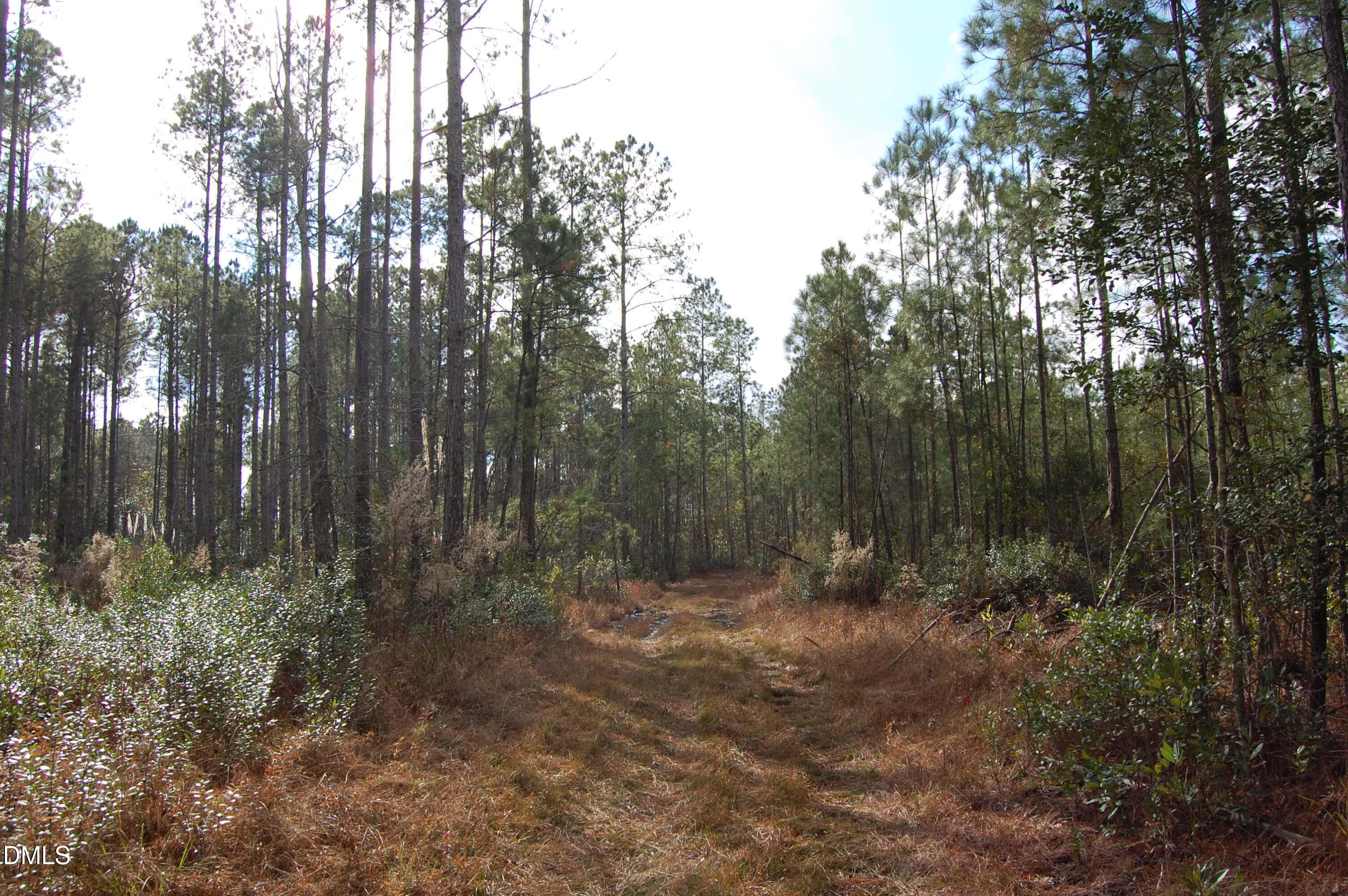 1 Kellyville Road Rocky Point, NC 28457 - Photo 18 of 21 a view of outdoor space and green space