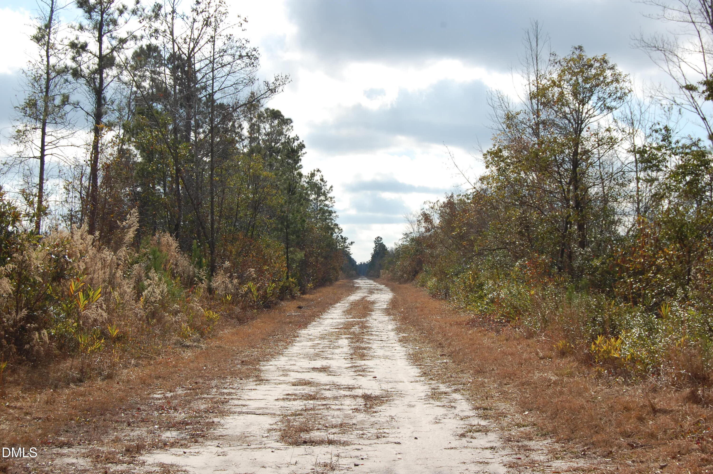 1 Kellyville Road Rocky Point, NC 28457 - Photo 19 of 21 a view of a yard with trees