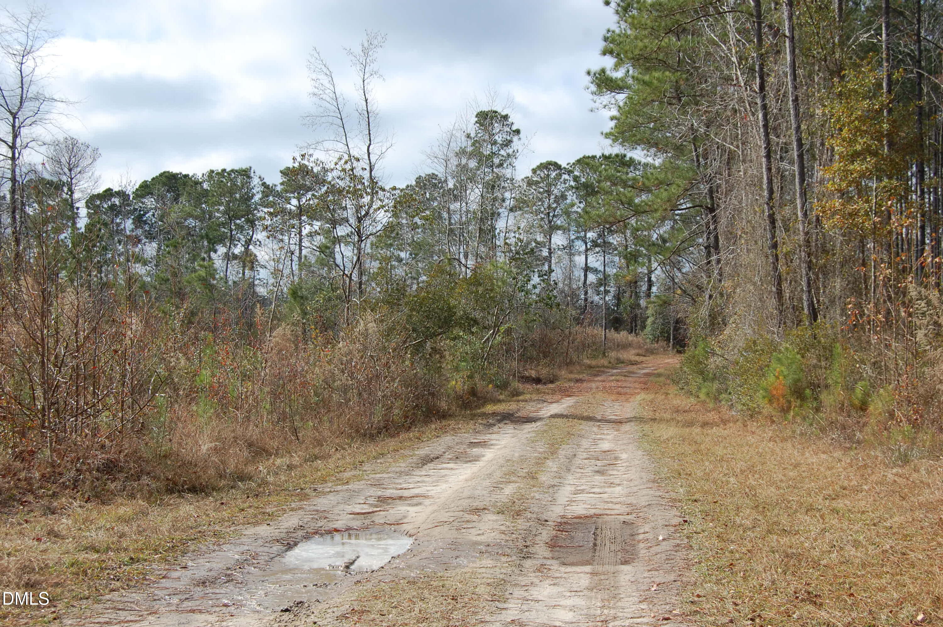 1 Kellyville Road Rocky Point, NC 28457 - Photo 21 of 21 a view of a yard with trees