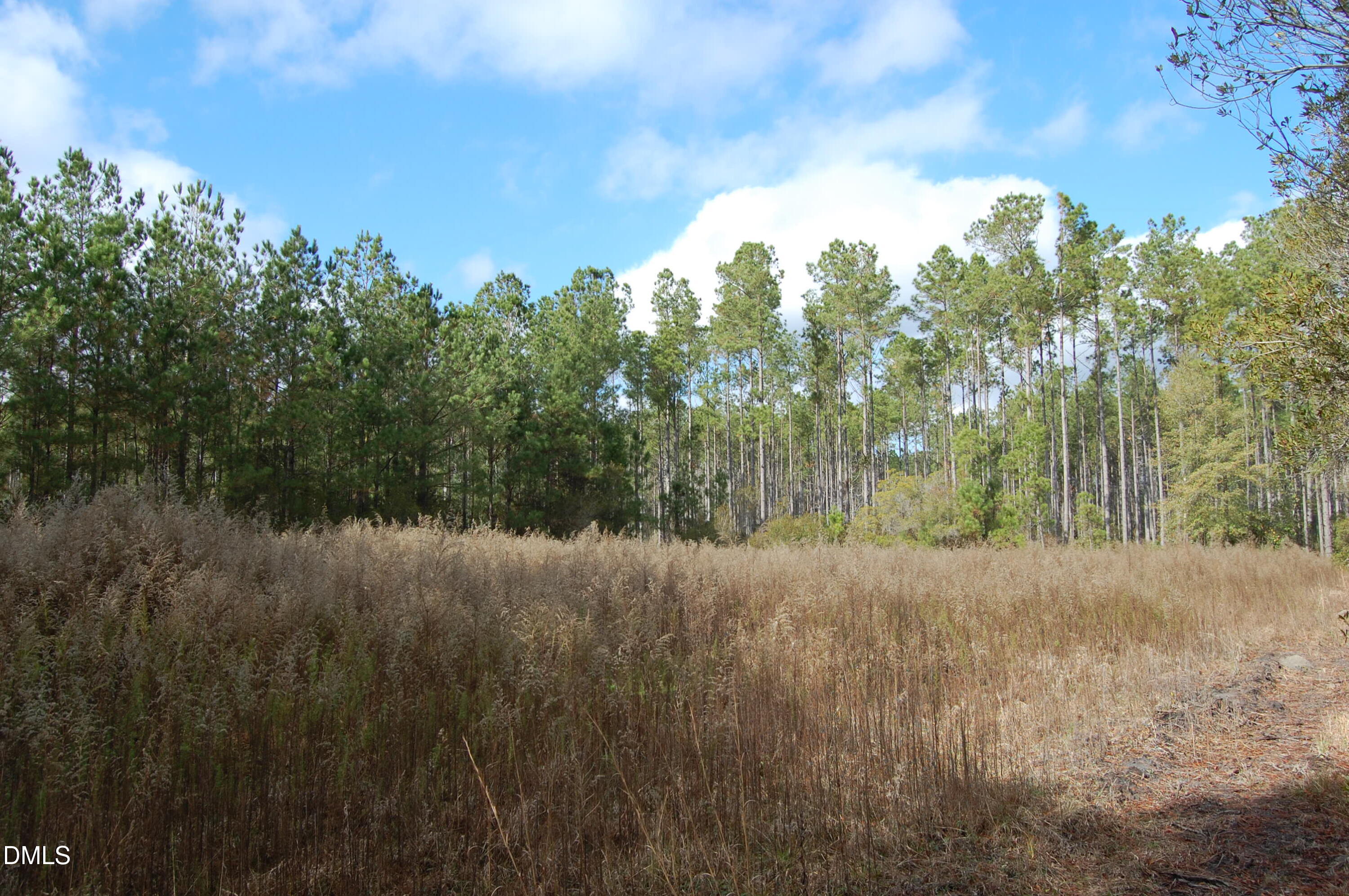 1 Kellyville Road Rocky Point, NC 28457 - Photo 3 of 21 a view of a yard with a tree