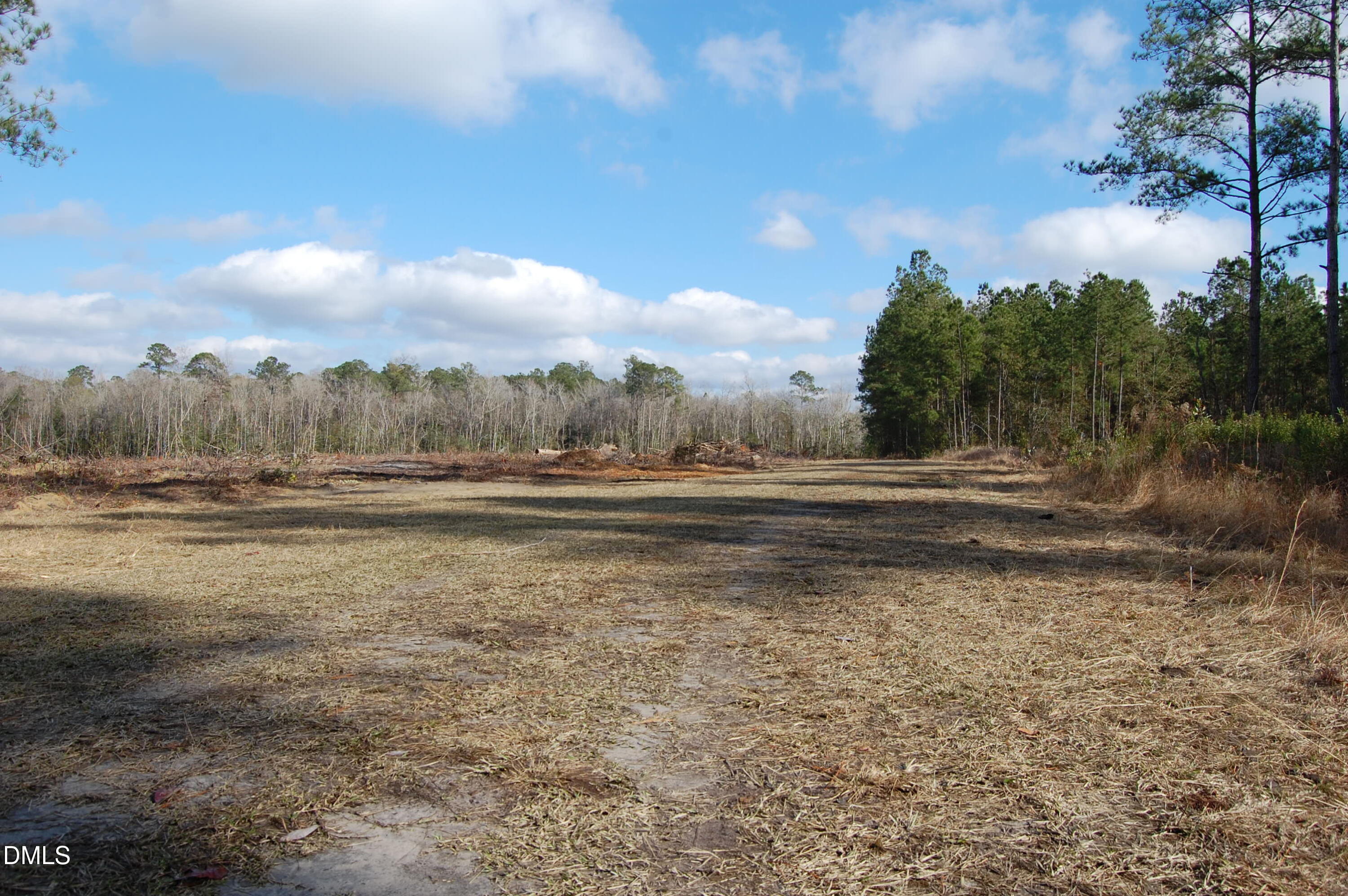 1 Kellyville Road Rocky Point, NC 28457 - Photo 5 of 21 a view of dirt field with trees