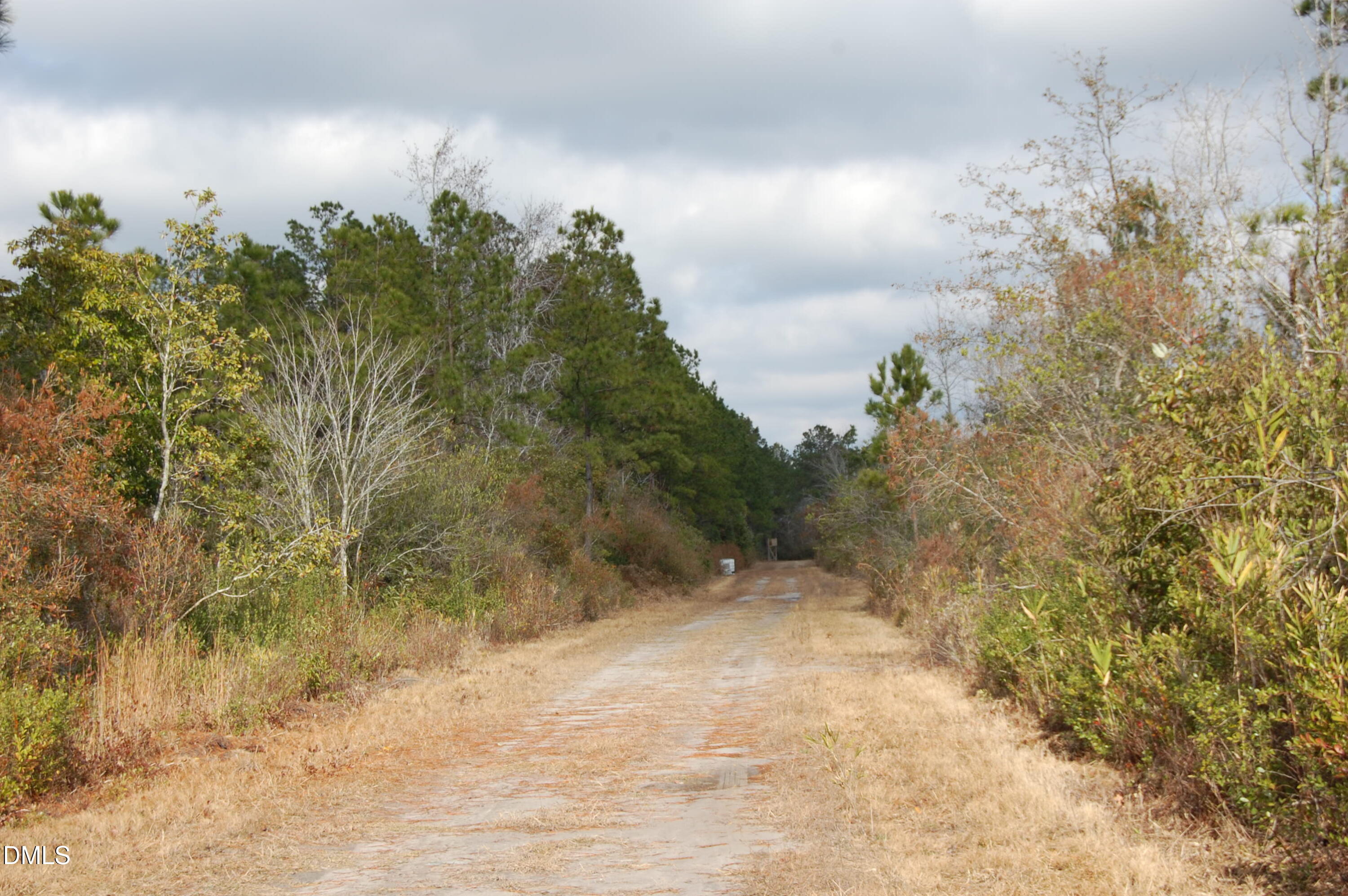 1 Kellyville Road Rocky Point, NC 28457 - Photo 8 of 21 a view of a yard