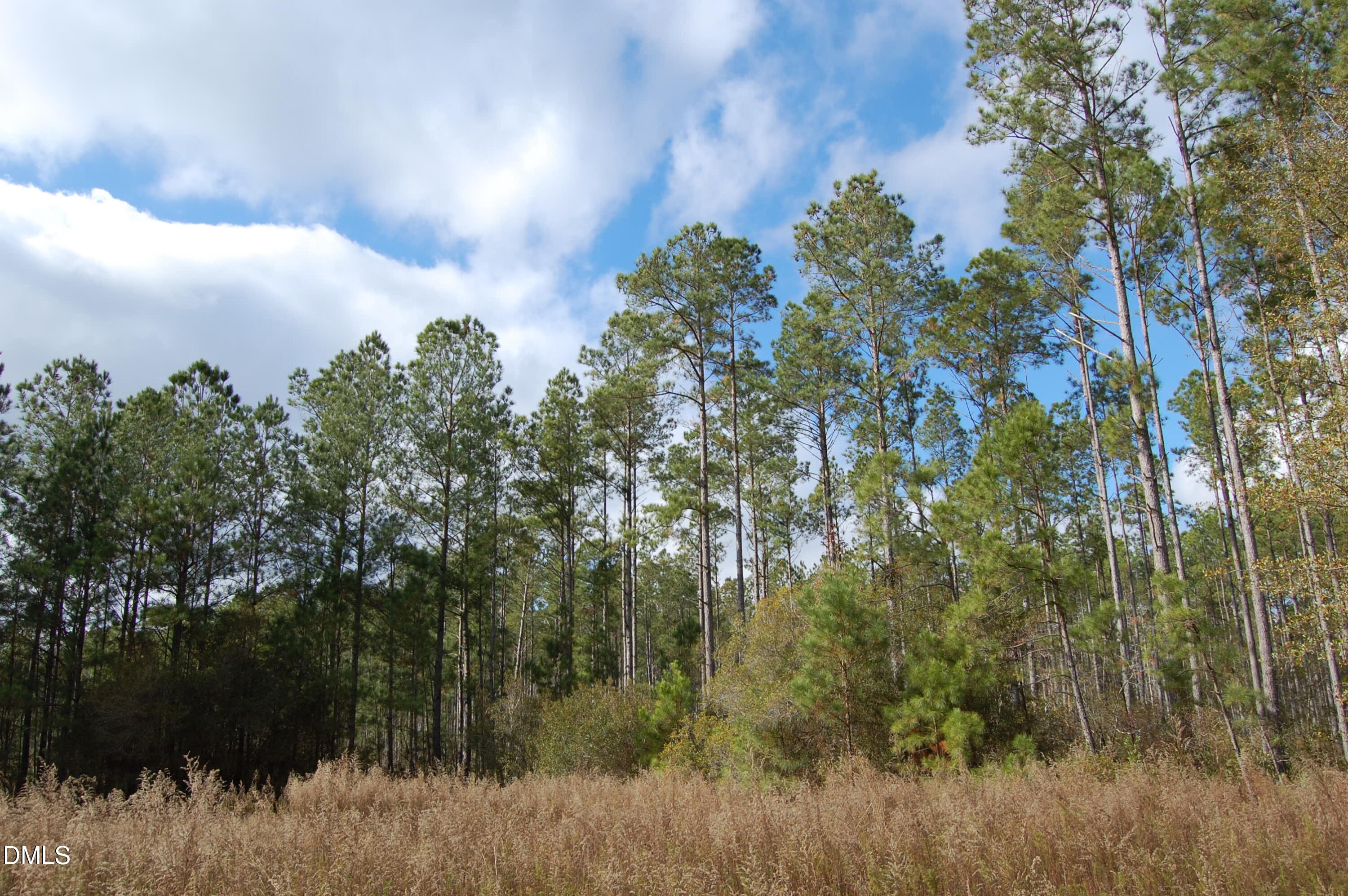 1 Kellyville Road Rocky Point, NC 28457 - Photo 9 of 21 a view of a lake