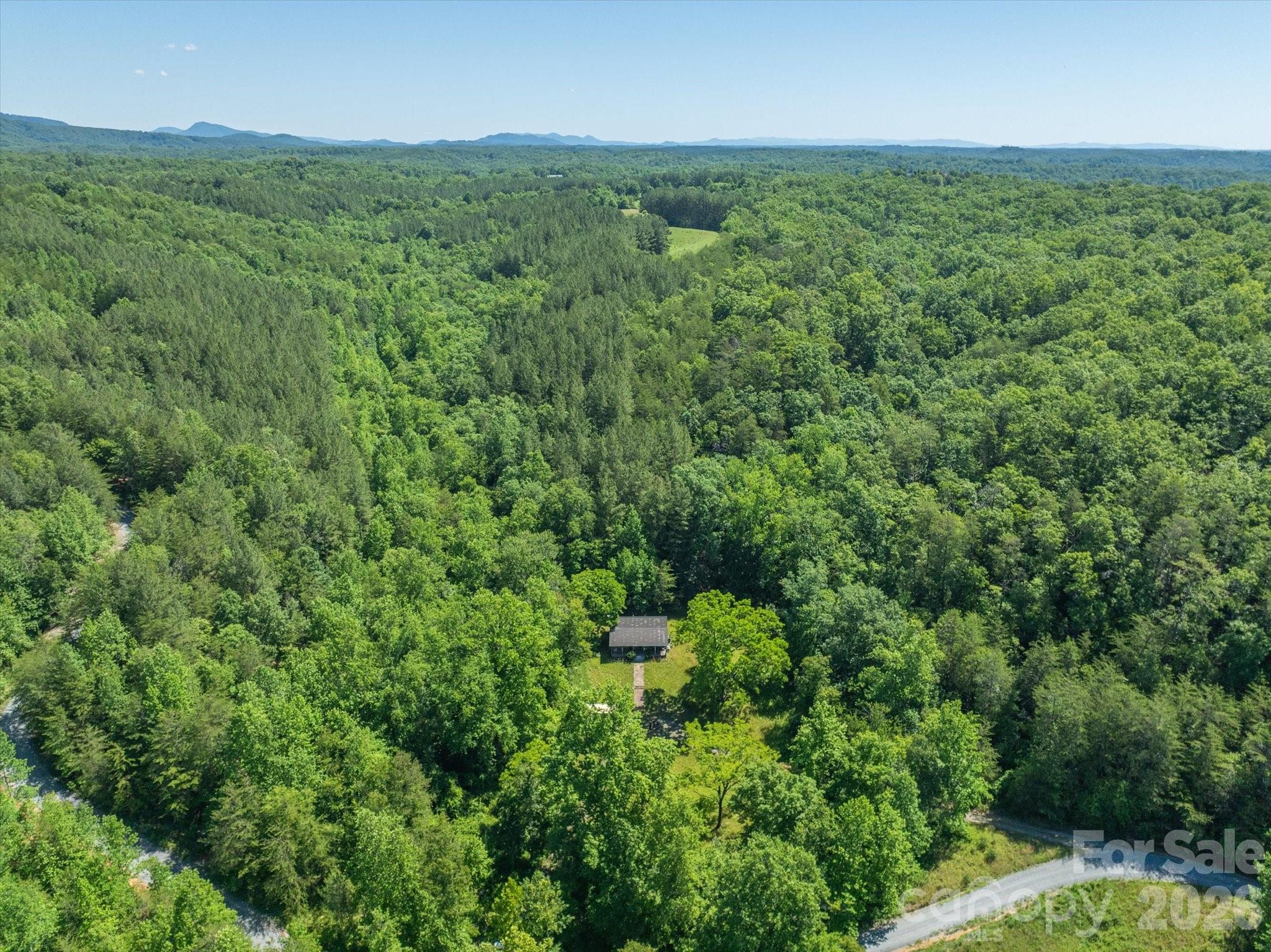 1194 Palmer Road Mill Spring, NC 28756 - Photo 2 of 25
