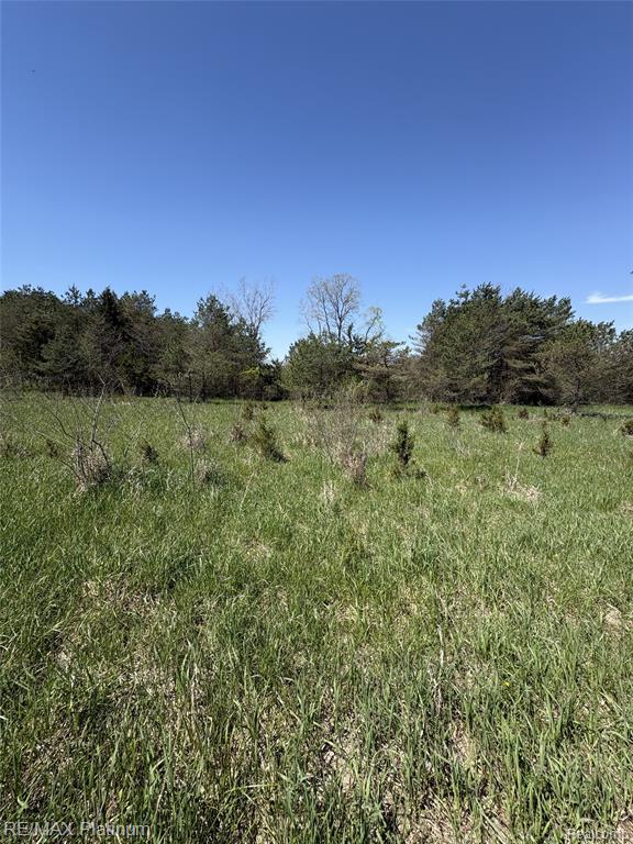 Parcel 2 Pineway Trail Howell, MI 48855 - Photo 7 of 15