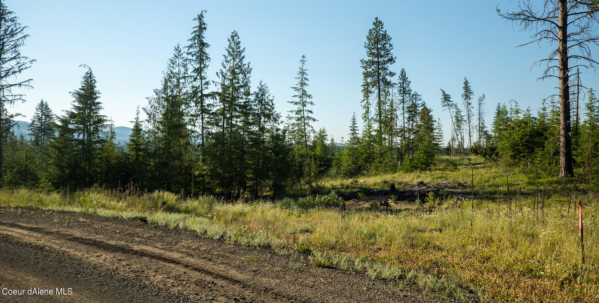 Lot 5 Sportsman Rd Street St. Maries, ID 83861 - Photo 1 of 1 P1007453