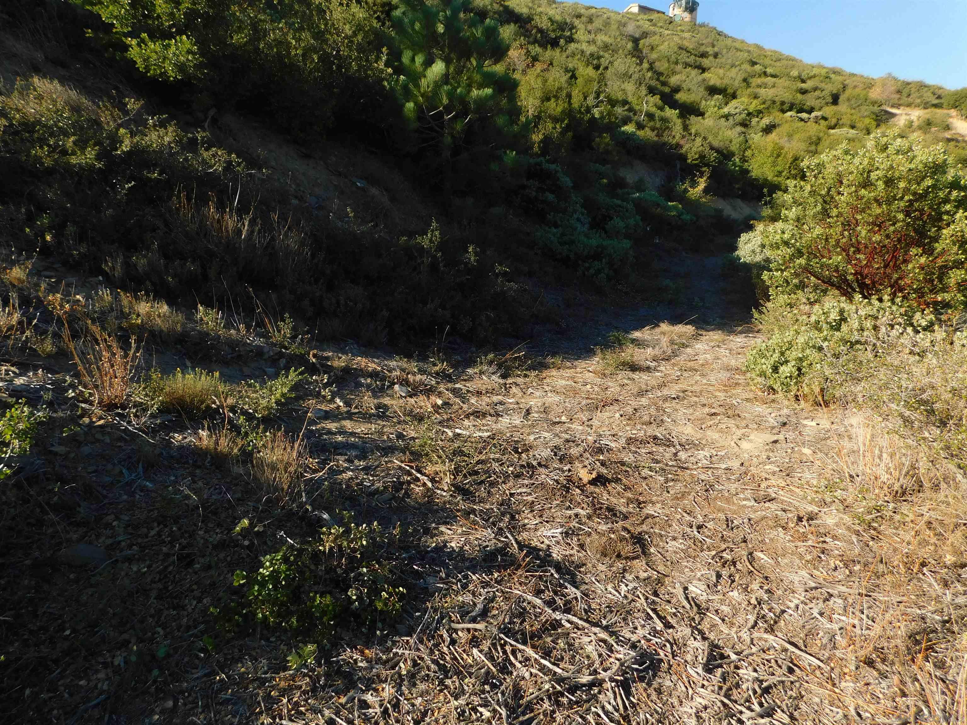 1 Mountain View Drive Julian, CA 92036 - Photo 11 of 18 a view of a yard