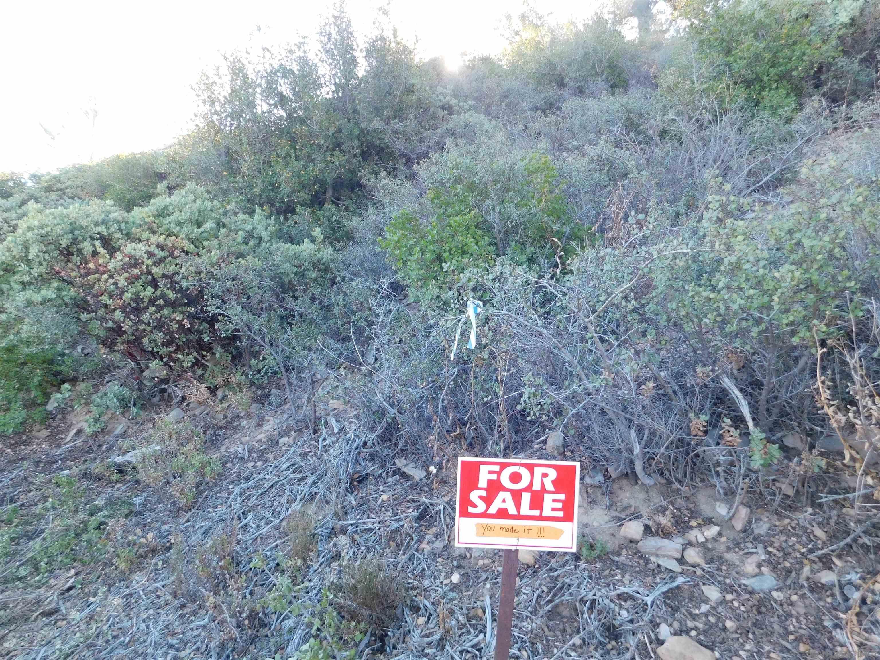 1 Mountain View Drive Julian, CA 92036 - Photo 12 of 18 a view of a forest with trees in the background
