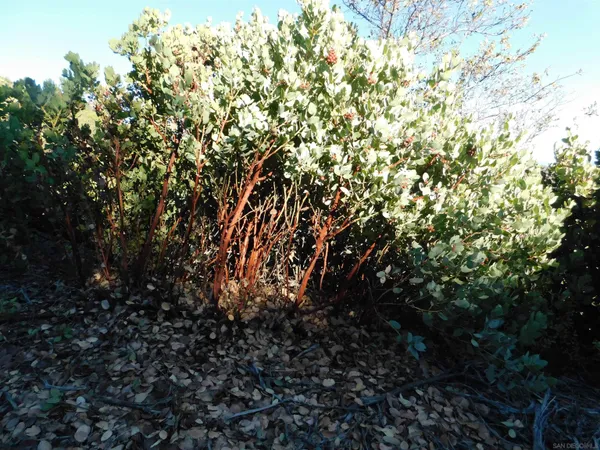 a view of water heater with trees