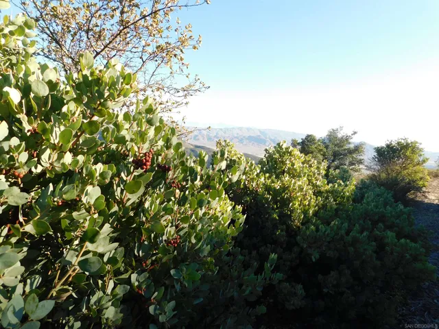 $60,000 | 1 Mountain View Drive, Julian, CA 92036