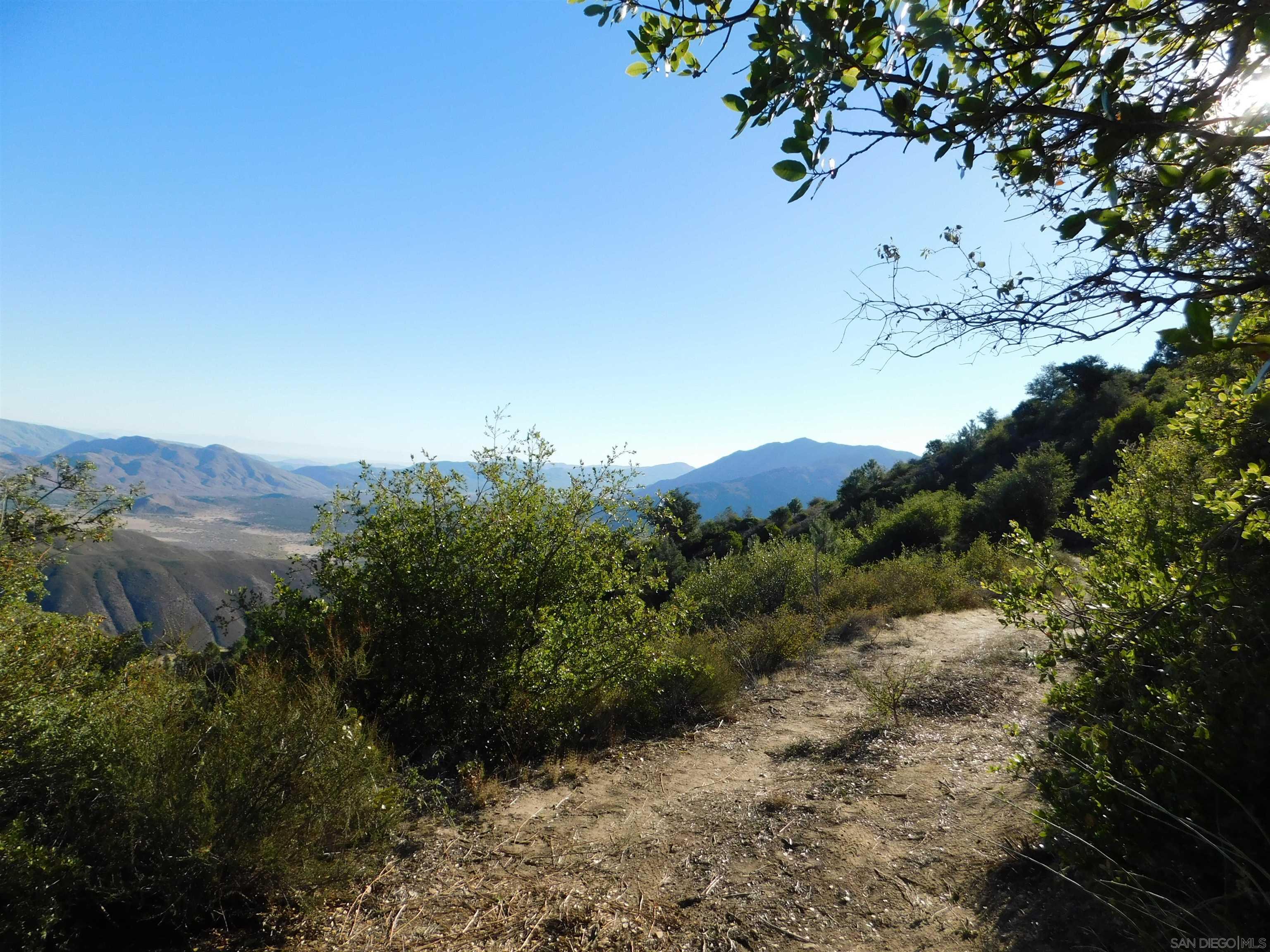 1 Mountain View Drive Julian, CA 92036 - Photo 2 of 18 a view of a tree in a field