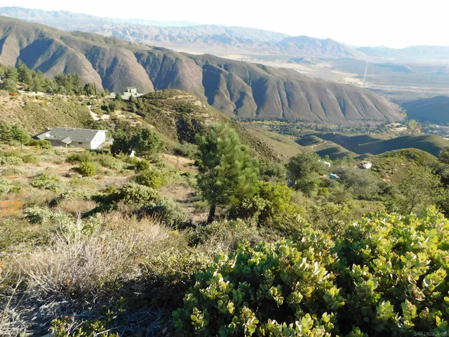 a view of a yard with plants