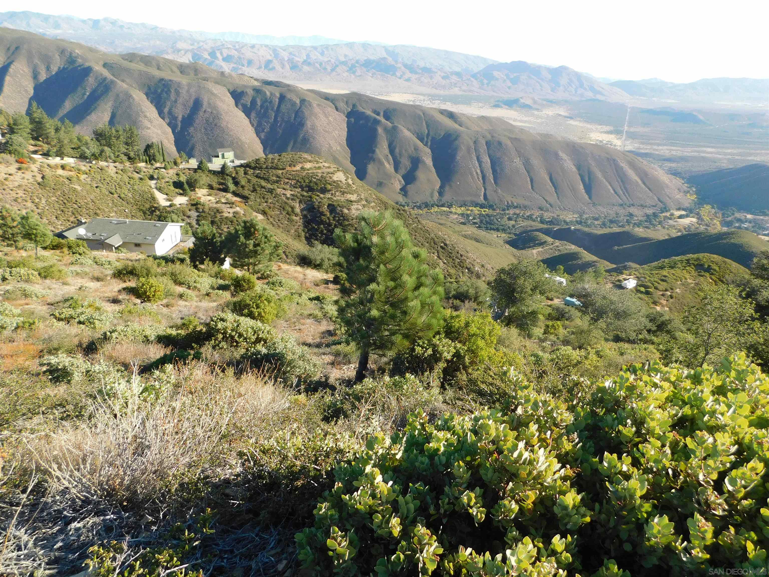 1 Mountain View Drive Julian, CA 92036 - Photo 4 of 18 a view of a yard with plants